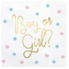 Boy or Girl suuri lautasliina 20 kpl/pkt
