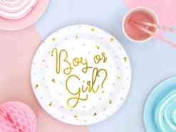 Boy or Girl suuri pahvilautanen 6 kpl/pkt