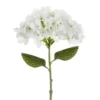 Hortensia 35 cm, valkoinen