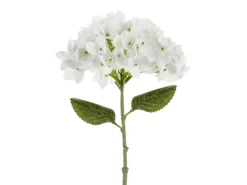 Hortensia 35 cm, valkoinen