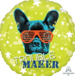Koira trouble maker foliopallo