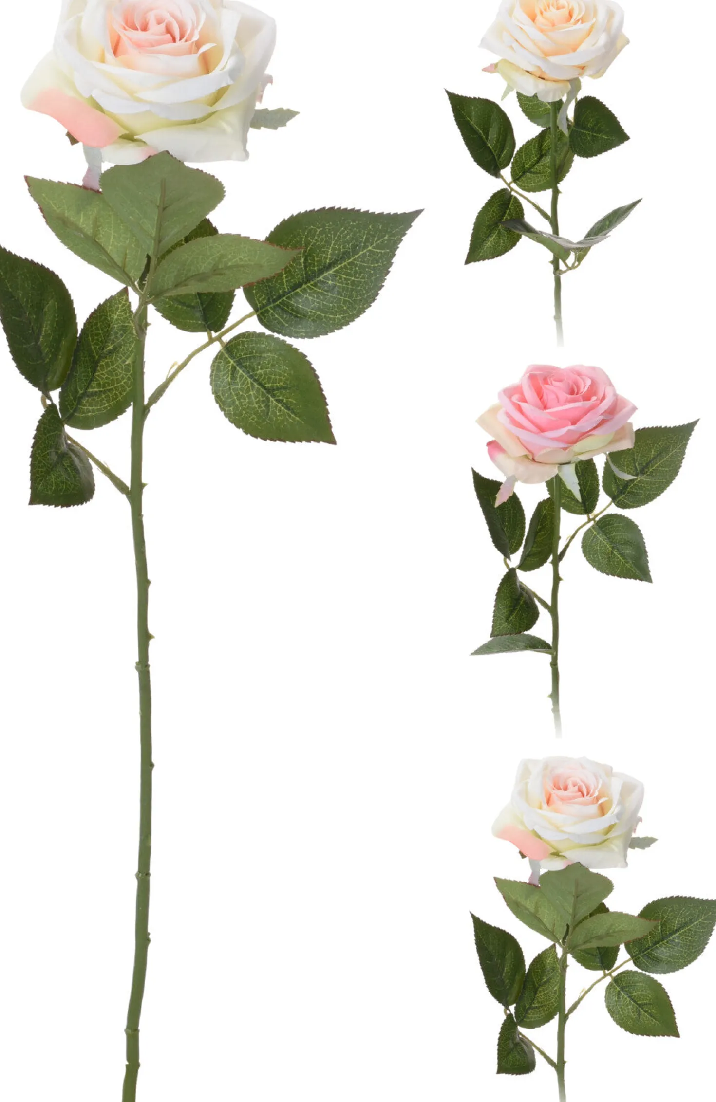 Koristeruusu 60 cm 1 kpl/pkt, lajitelmatuote 3 eri väriä