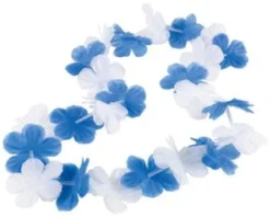 Lei Suomi
