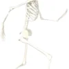 Luuranko 94 cm