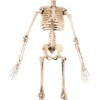 Luuranko ripustettava 50cm
