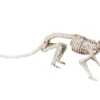 Luuranko, rotta 35 cm