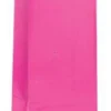 Paperinen lahjapussi, pinkki 12 kpl/pkt