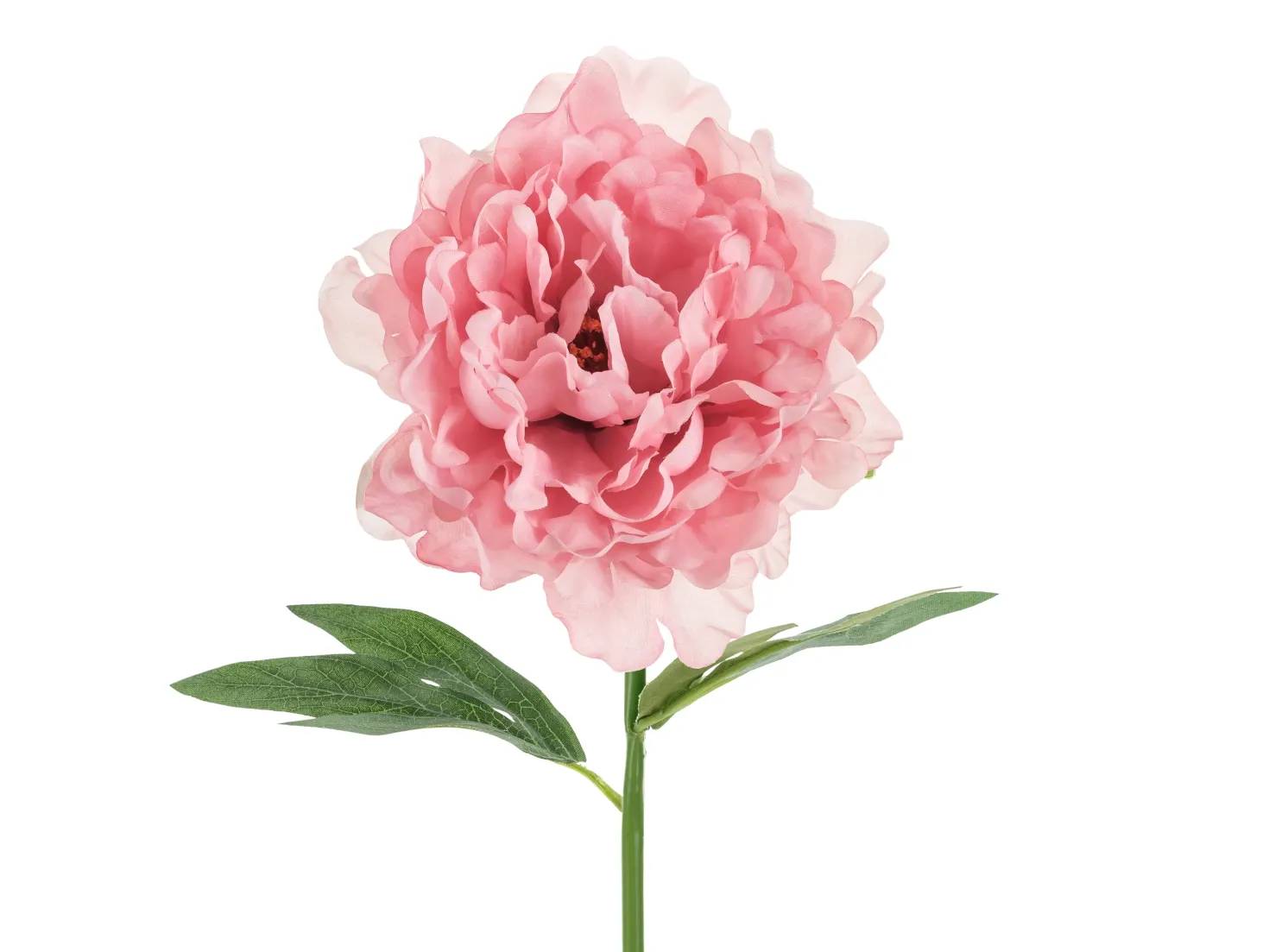 Pioni 35 cm, pinkki