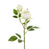 Ruusu kahdella nupulla 55 cm, kermanvärinen