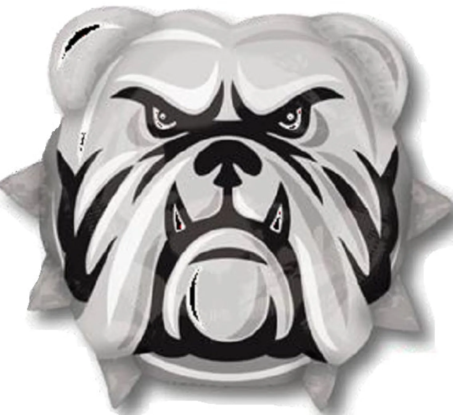 Team Bulldogs muotofoliopallo