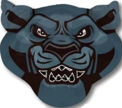 Team Panthers muotofoliopallo