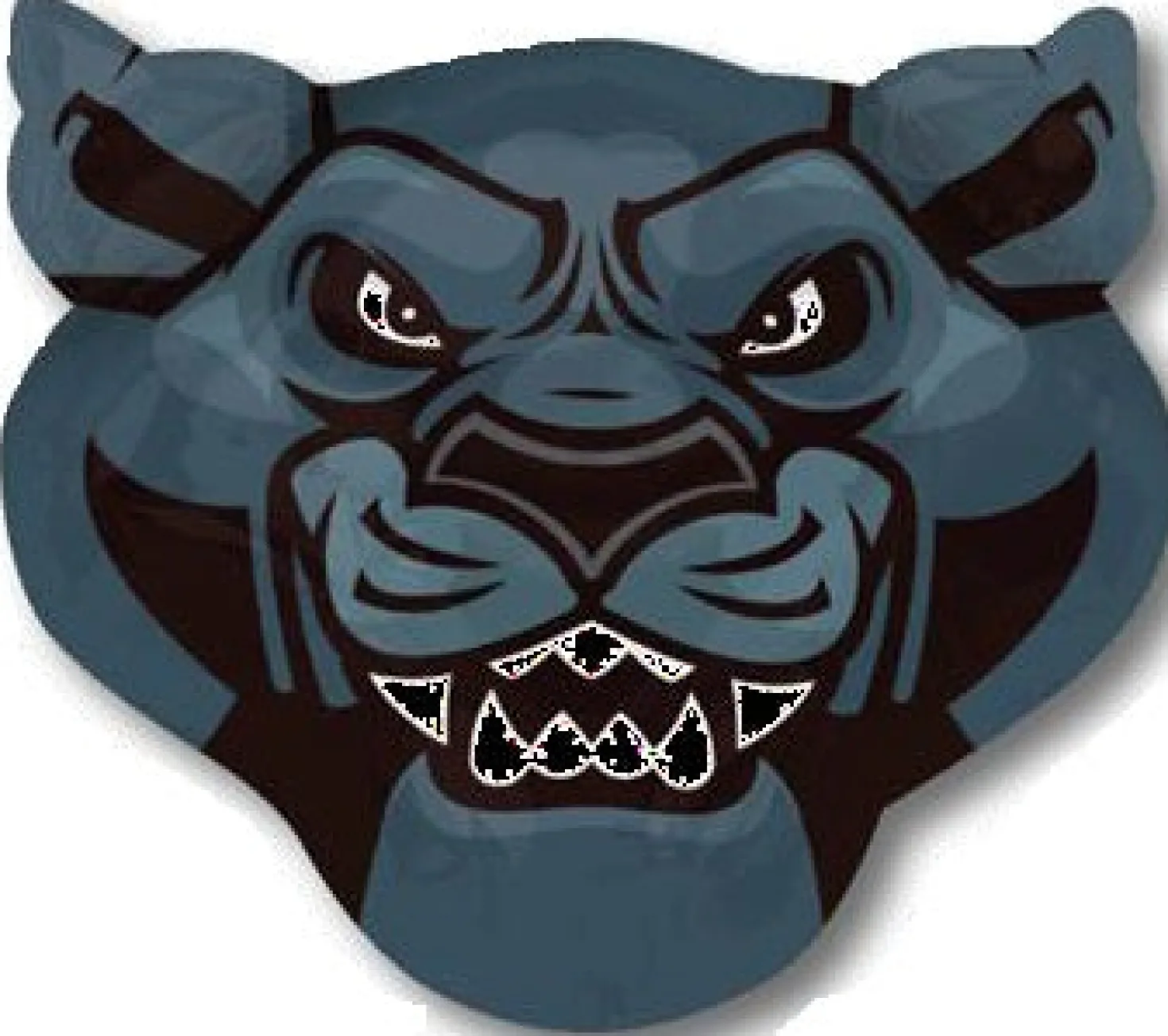 Team Panthers muotofoliopallo