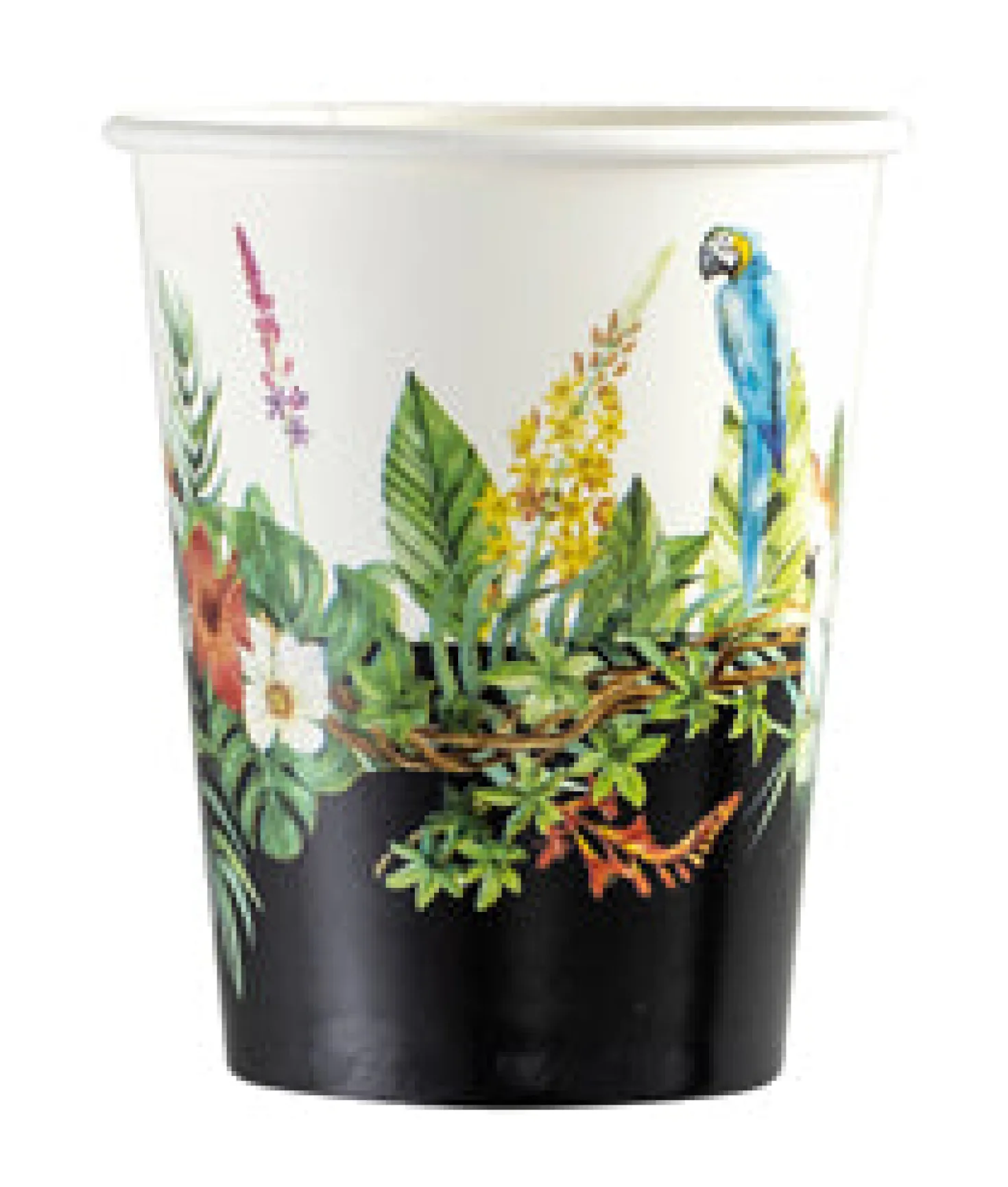 Tropiikki pahvimuki 250 ml 8 kpl/pkt