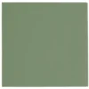 Vert Decor lautasliina suuri 33 x 33 cm tummanvihreä 20 kpl/pkt