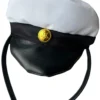 Ylioppilaslakki -panta